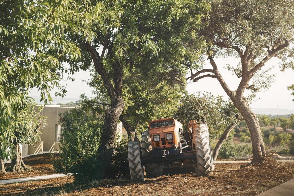Country House Villadorata Noto Esterno foto
