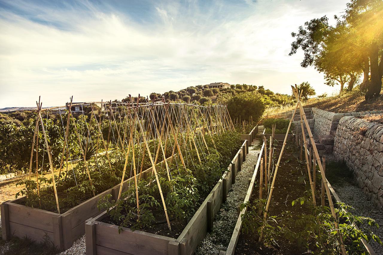 Country House Villadorata Noto Esterno foto