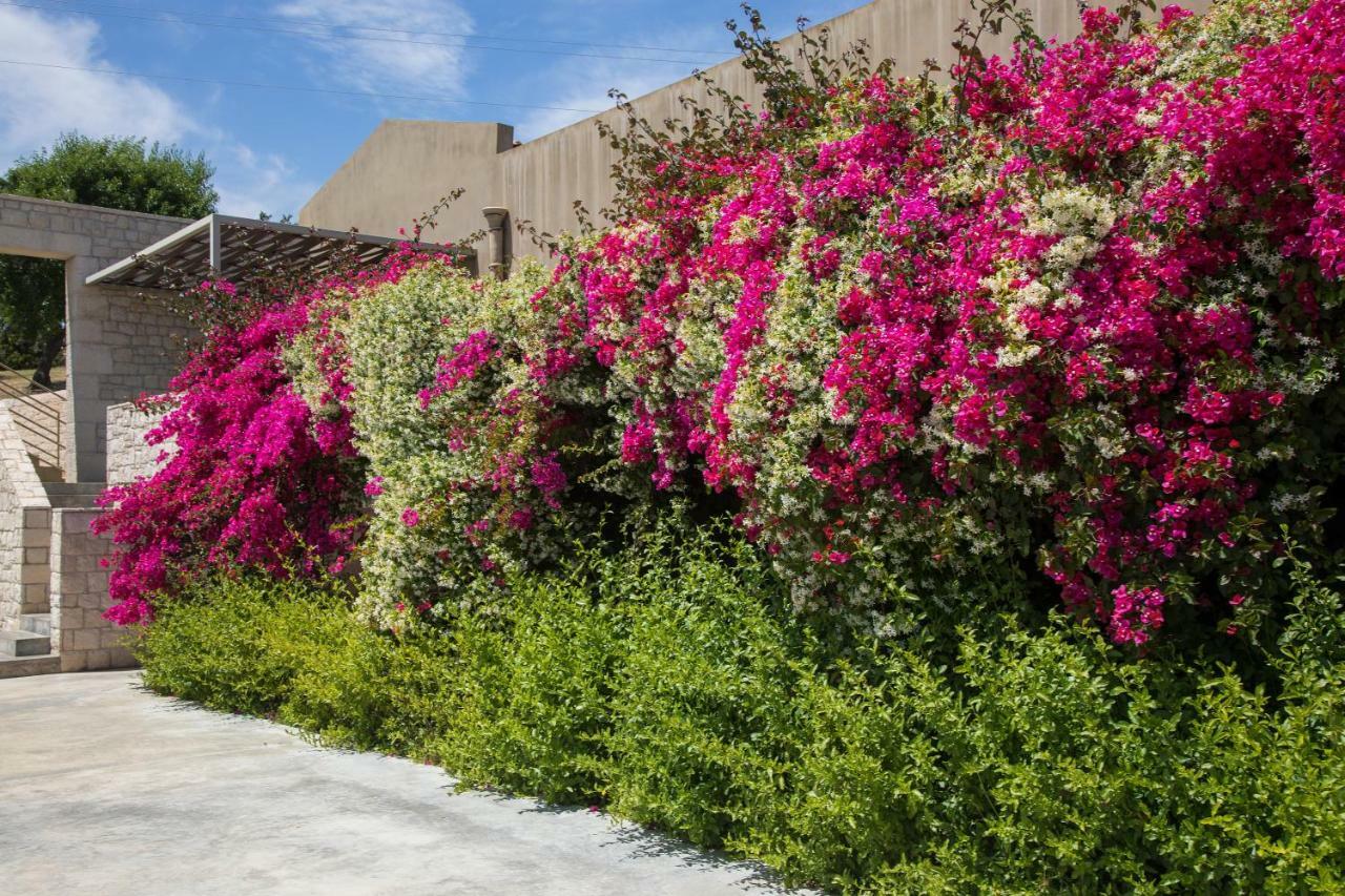 Country House Villadorata Noto Esterno foto